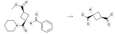 1,3-Cyclobutanedicarboxylicacid, 1-amino-, trans- can be prepared by trans-methyl 1-(benzoylamino)-1-(pentamethylenecarbamoyl)cyclobutane-3-carboxylate at the temperature of 130 °C